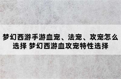 梦幻西游手游血宠、法宠、攻宠怎么选择 梦幻西游血攻宠特性选择